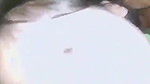 Cute Young Village Girl First Time Painful Fucking with Boyfriend Loud Moa Moaning