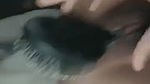 Horny Paki Girl Drilling her Pussy with Hair Brush & Too Much Squarting