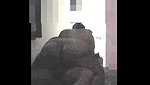 Chubby Bhabhi with her Devar