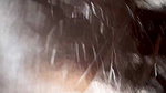 Husband Wife Full Porn Movies Eith Dirty Talk Audio