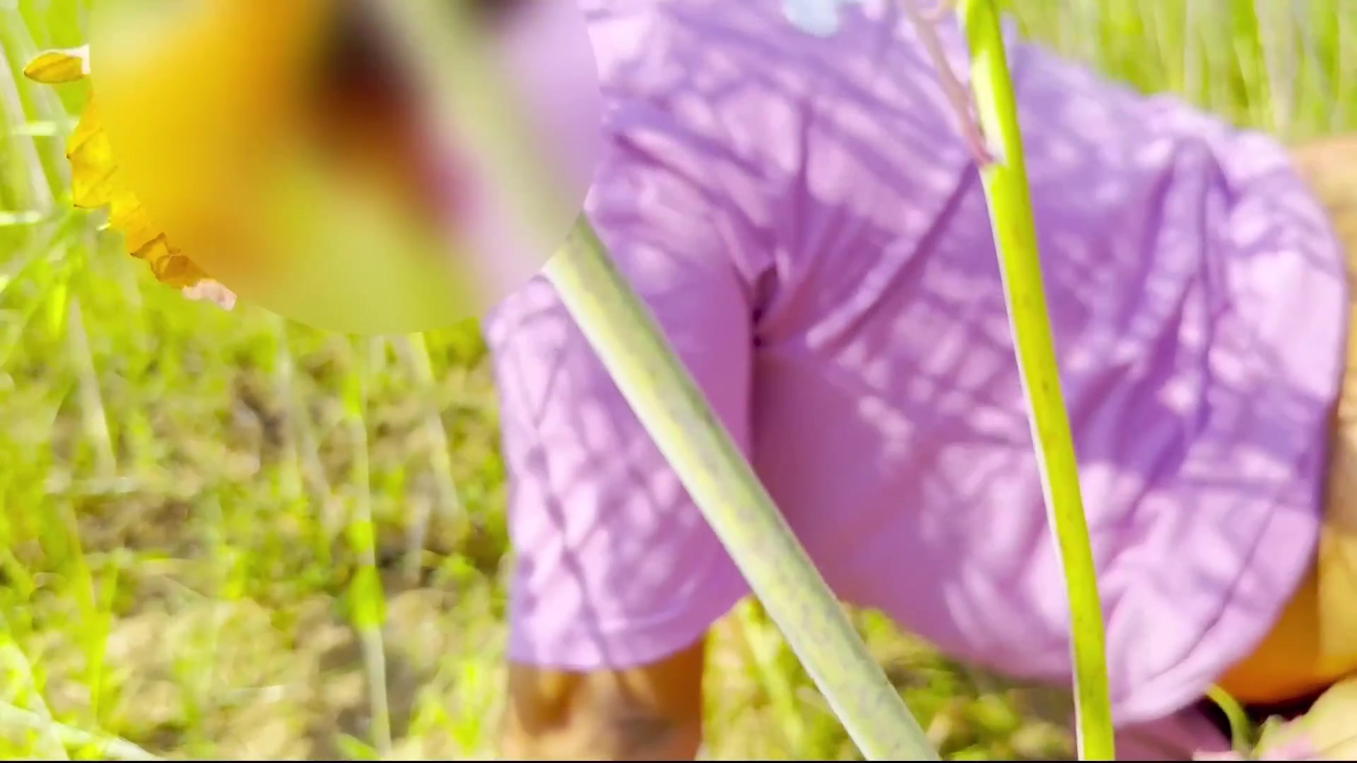 Frame 7