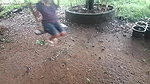 My Step Daughter Before Being Seduced