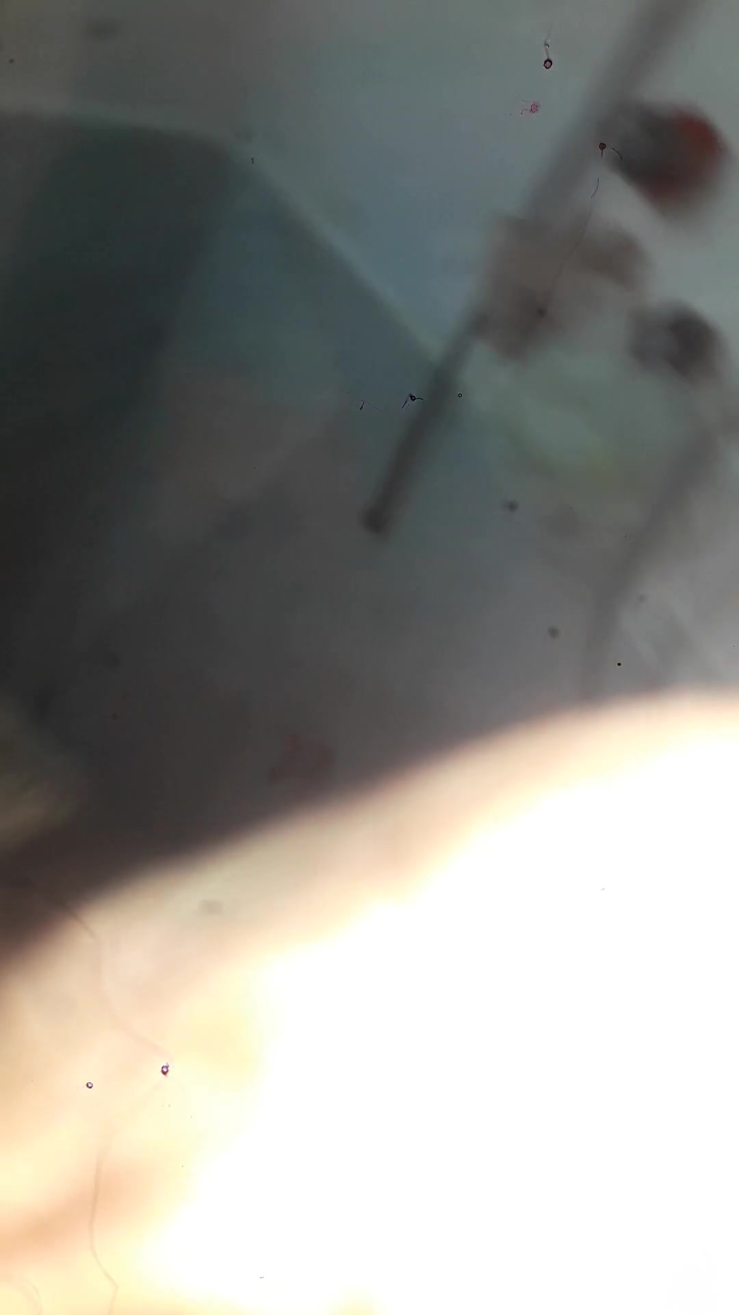 Frame 6