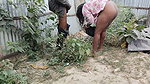 Pados ki aunty ke sath chudai ki outdoor
