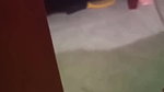 The Delivery Boy Threatened the Customer