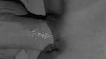 The perfect desi housewife. Real amateur Desi Couple Home Video. Sexy wife enjoys sexual pleasure from her husband