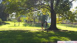 Alexa Chains – Meet In Park Ends With Hard Fuck