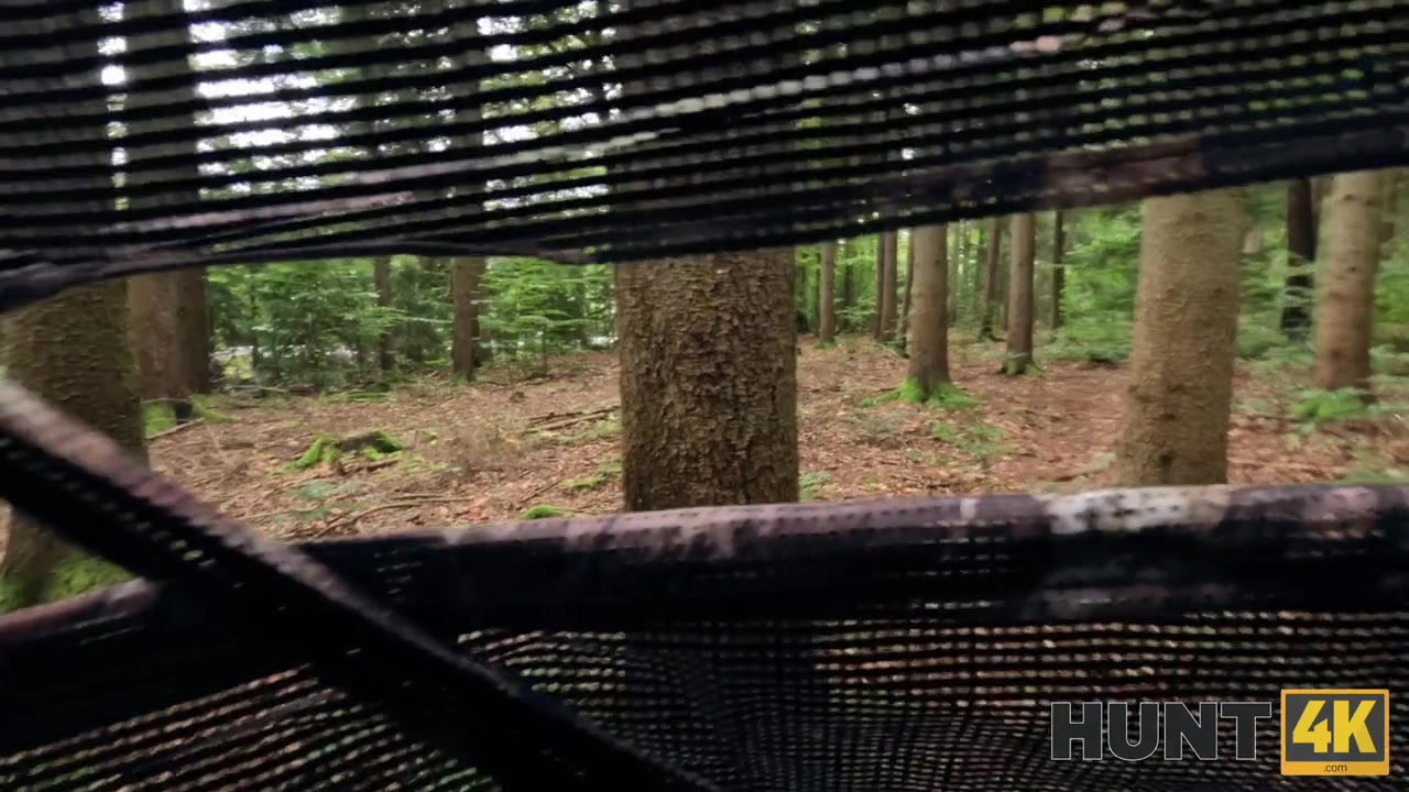 Frame 2