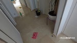 Pamsnusnu – Dirty Maid Clean All The Cum