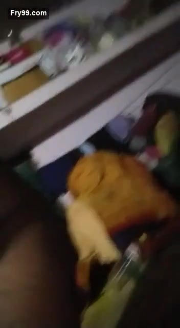 Frame 10