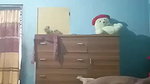 Bangladeshi Horny Girl Fingering