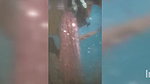 cuckold couple