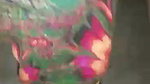 Very Beautiful Paki Girl Captured After Seal Break Cum Dripping from Pussy