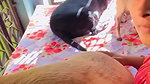 Youtuber Indian vlogger raya membership video collection- 21