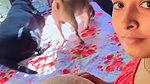Youtuber Indian vlogger raya membership video collection- 21