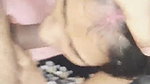 Beautiful Desi Couple Blowjob and Fucked