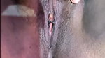 Bulbul_bhabhi private show hot nude strip show