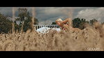 Lovita Fate – Meadow