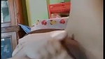 Bigboob Bengali Horny Girl fingering 4 Clip-Merged