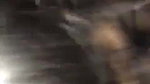 Desi girl sucking in side Car
