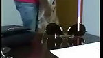 Banging My Slutty Stepmom