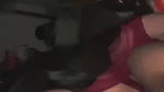 Beautiful wife blowjob and doggy fuck