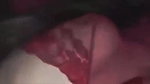 Beautiful wife blowjob and doggy fuck