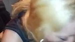 College Girl Bathroom Threesome