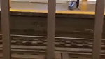 Couple Caught Fucking on Metro station