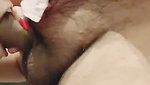 Cute Girl Sucking Lovers Dick Nicely