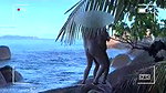 honey moon couples fucking in goa sea shore (hidden cam vdio)