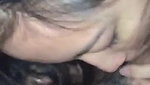 Inexperienced Asian Girl Blowjob