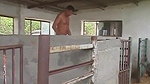 Mom son sex at farm on weekend