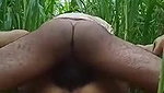 Desi village couple fucking field