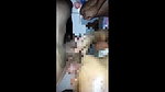 Secret capture video of star hotel
