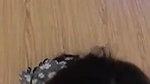 Sexy Asian Teen Loves Sucking White Cock