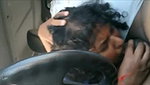 sexy bhabhi giving blowjob in car