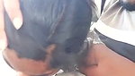 Gf ko chusaya blowjob