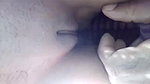 Paki mature bhabhi outdoor with lover
