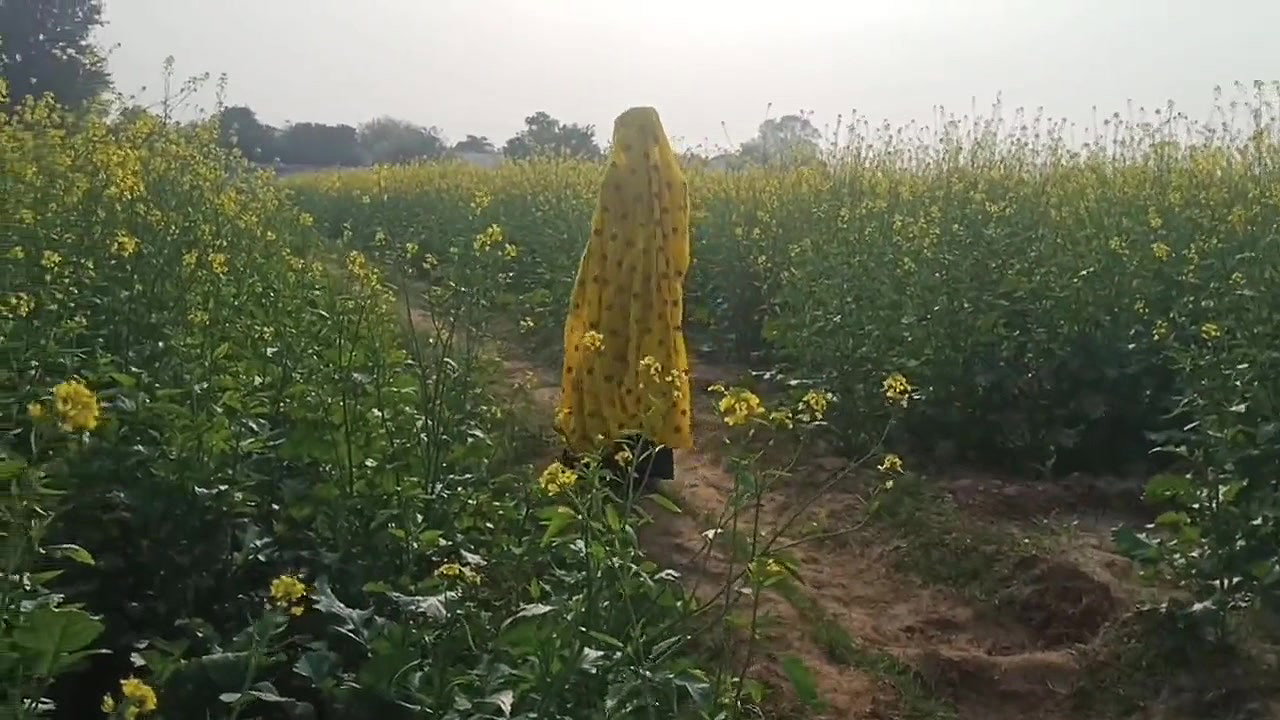 Mamta bhabhi ko khet me le jakar doggystyle me choda outdoor.