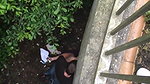 Couple caught having sex under the bridge