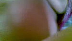 Desi village aunty fucking