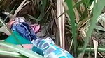 Indian girl sex in garden