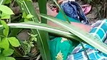Indian girl sex in garden