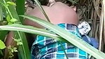 Indian girl sex in garden