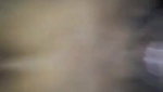 Paki Randi Fucked 2 Clips