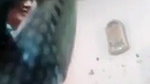 Paki Bhabhi Showing Her Boobs on VC