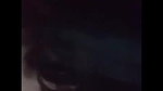 Extremely Cute Girl Sucking BF Dick