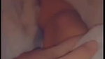 Cute Snapchat Queen Accidentally went Live while she was Getting her Titties Sucked by her Boyfriend8