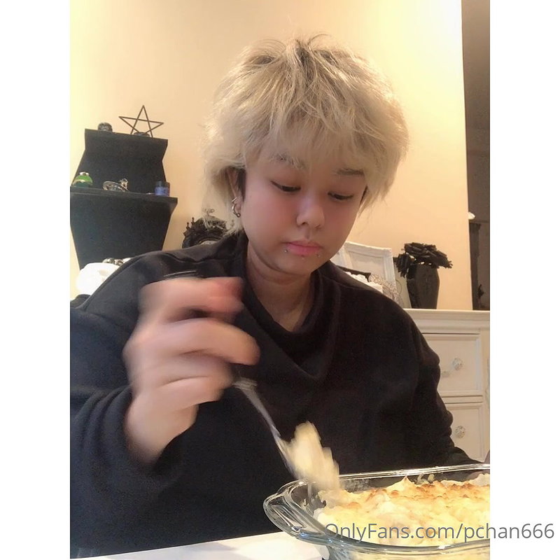 Pchan666 Onlyfans video collection – 20